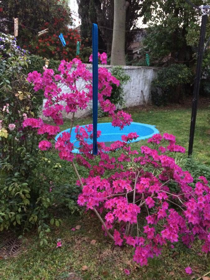 Villa Maipu B&B Polo (Adults Only) المظهر الخارجي الصورة